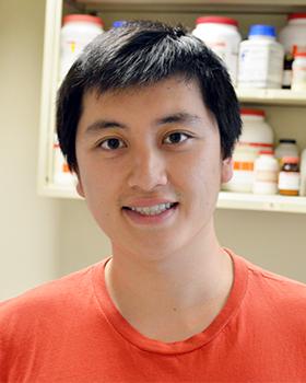 Matthew Jin