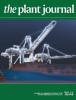 image of plant journal cover, showing gantry cranes
